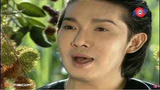 Vũ Linh & Tài Linh - Tears